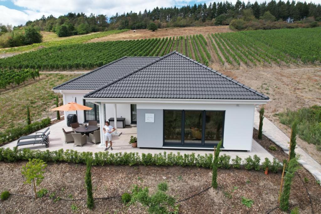 Neu - Premium-Ferienhaus Mosel-Sonne Traben-Trarbach Exterior photo